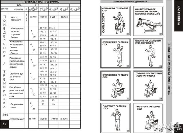 скачать программу в тренировок в тренажерном зале