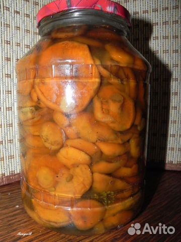 Приготовить рыжики засолить