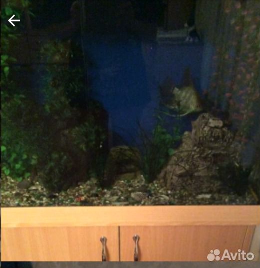 Продам аквариум 120 л купить на Зозу.ру - фотография № 2