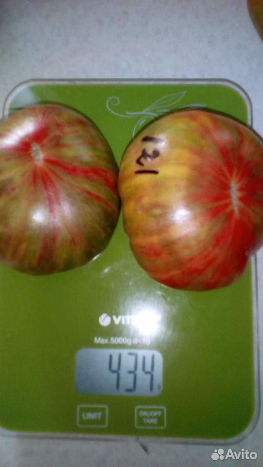 Продам семена томатов купить на Зозу.ру - фотография № 6