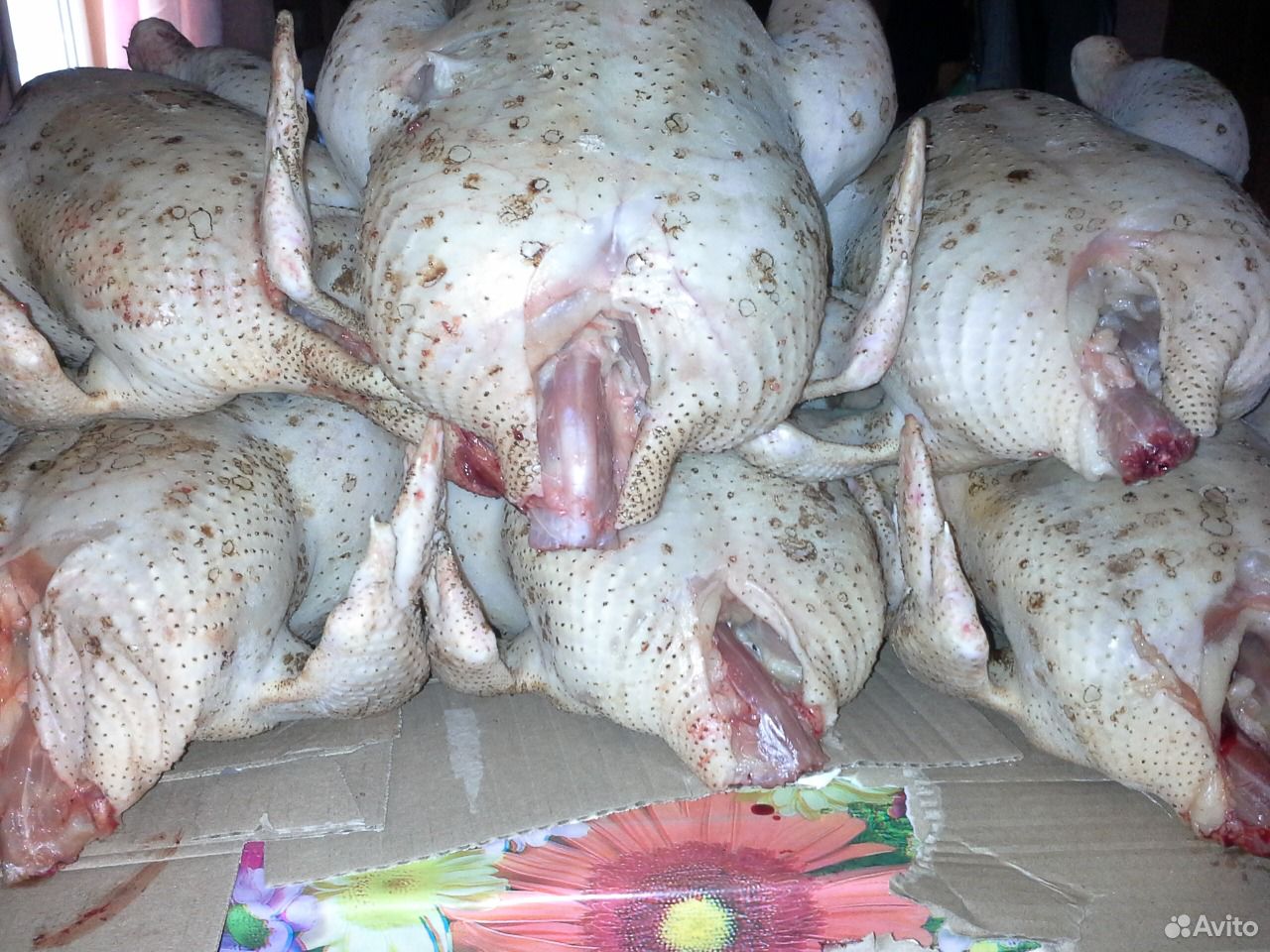 Мясо цыпленка бройлера купить на Зозу.ру - фотография № 1