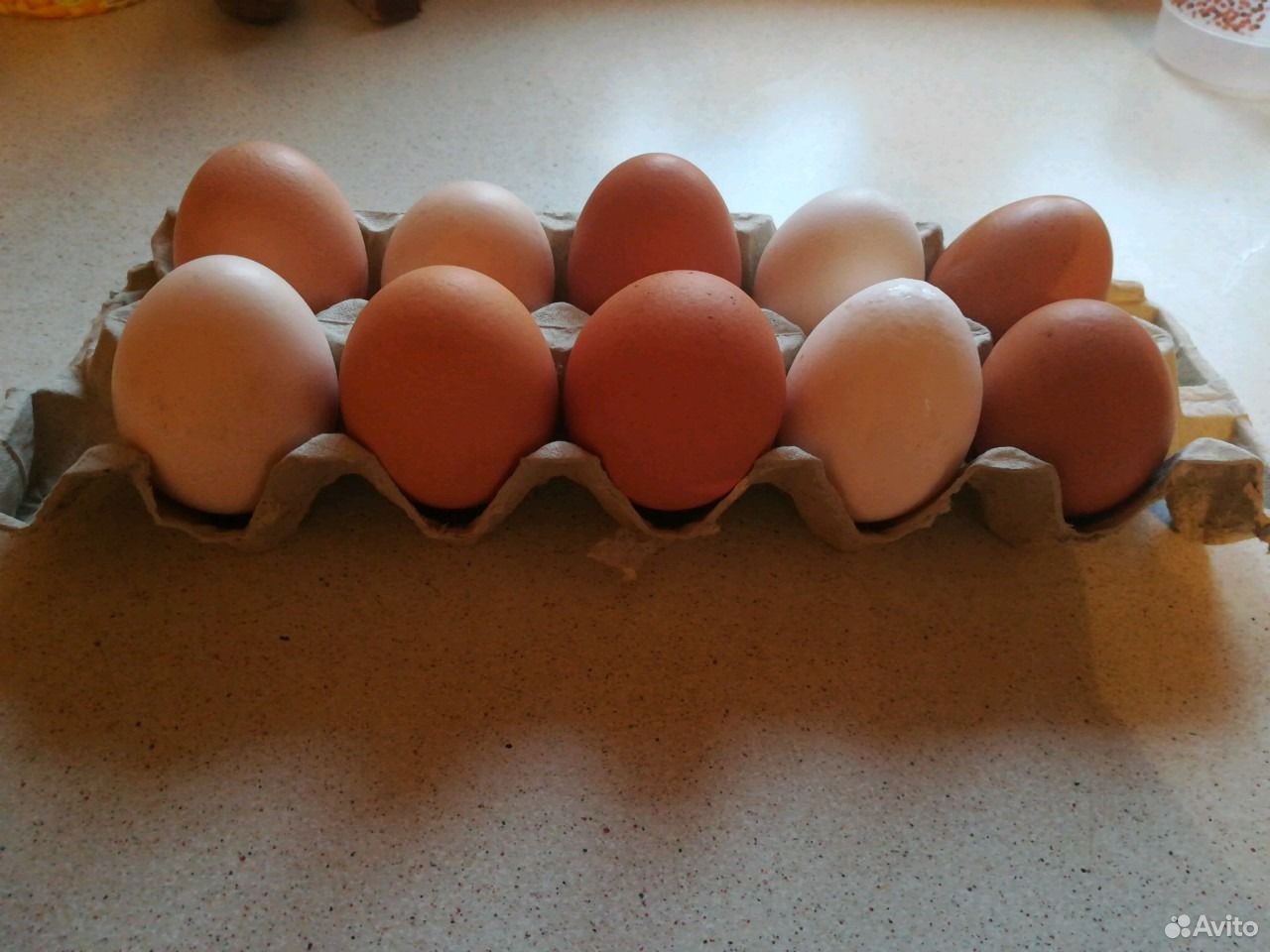Домашние куриные яйца купить на Зозу.ру - фотография № 2