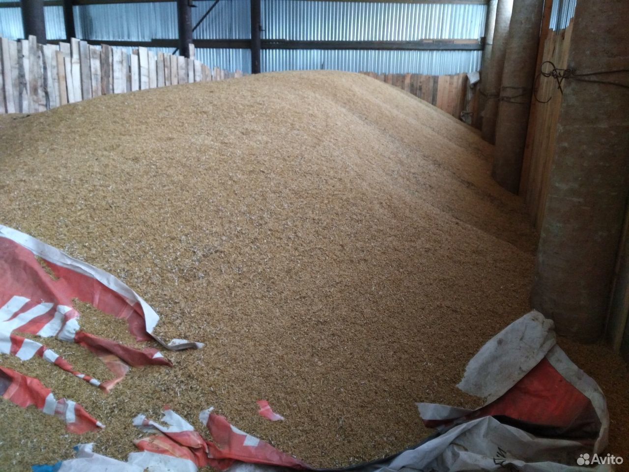 Зерно-пшеница,ячмень,рожь купить на Зозу.ру - фотография № 2