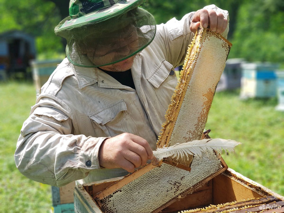 Липовый мёд купить на Зозу.ру - фотография № 4