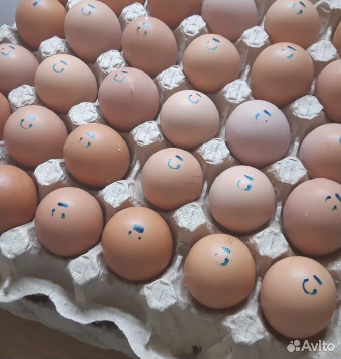 Предлагаем фермерские столовые яйца купить на Зозу.ру - фотография № 2