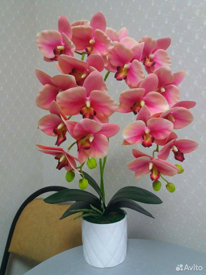 Имитация Орхидеи, латекс, эко-силикон купить на Зозу.ру - фотография № 3