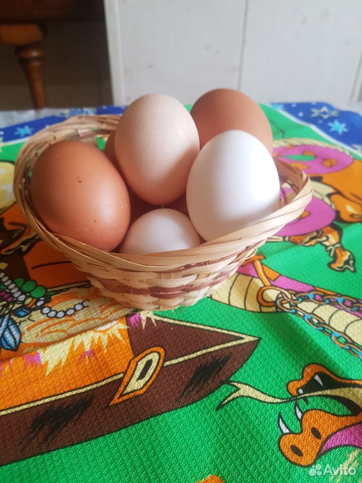 Perepelinnyye yaetsa. Астрахань цены на яйца. Купить домашние яйца в Махачкале. Куплю яйцо астрахань