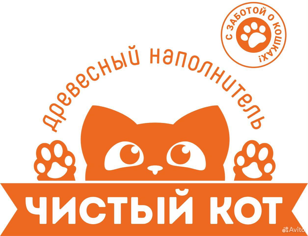 Чистый котик стерлитамак