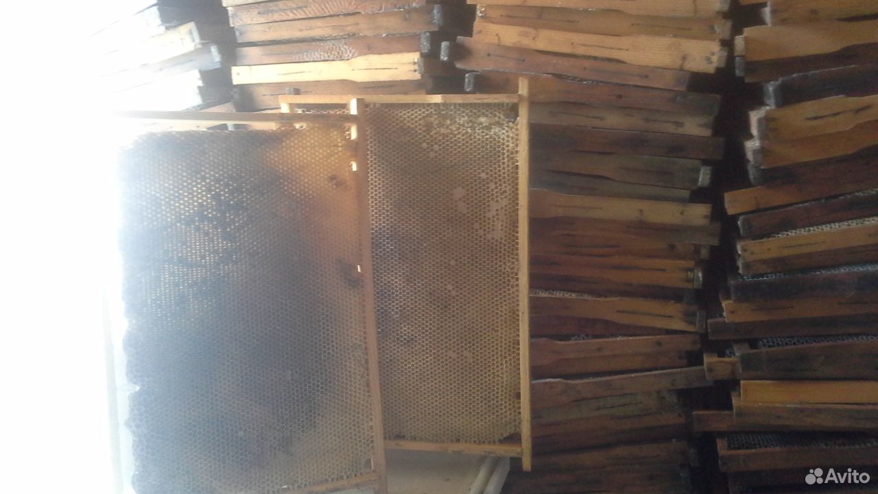 Рамки для пчёл,сушь купить на Зозу.ру - фотография № 2