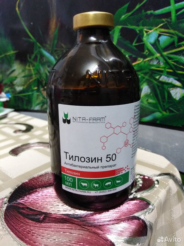 Тилозин 50, раствор для инъекций купить на Зозу.ру - фотография № 1