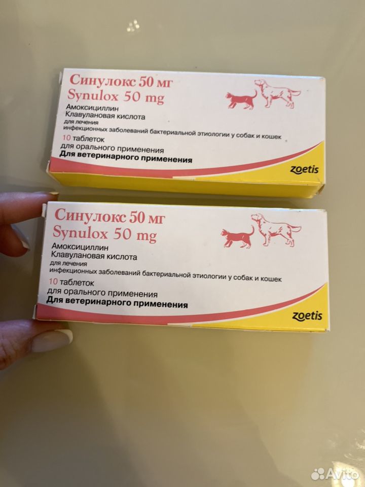 Синулокс 50 мг. Синулокс 50 мг для кошек. Антибиотик для собак синулокс.
