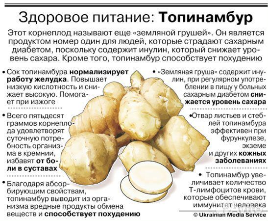 Корнеплод топинамбур купить на Зозу.ру - фотография № 3