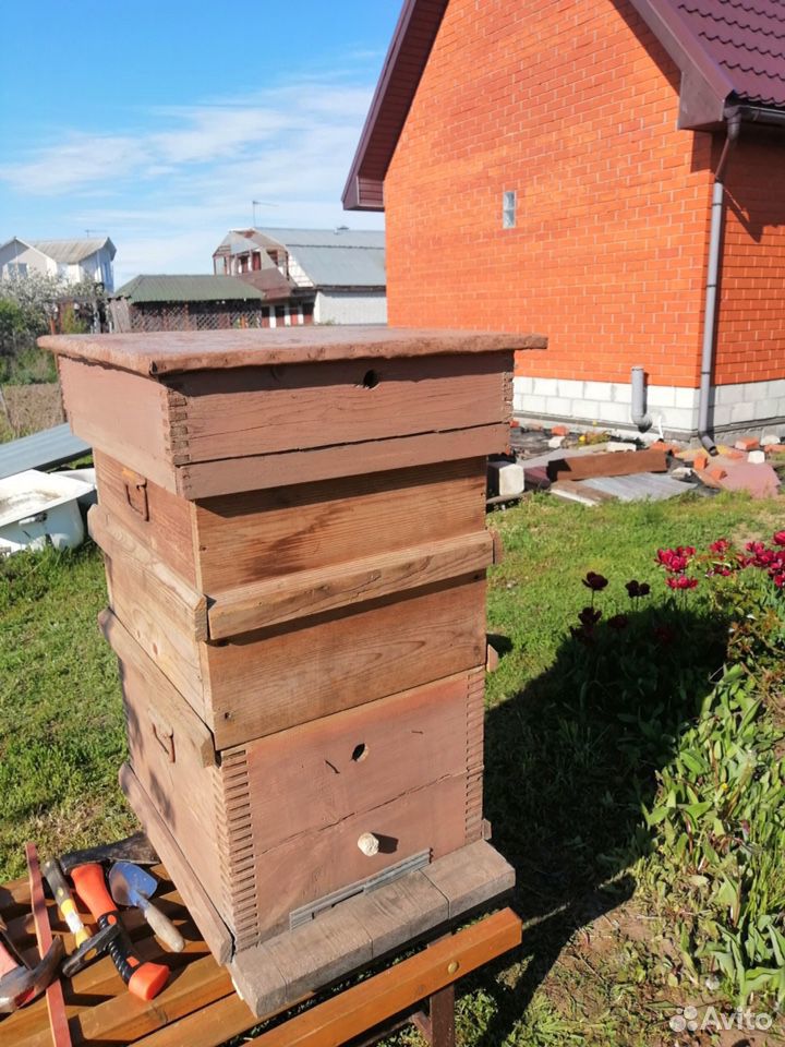 Пчелиные ульи купить на Зозу.ру - фотография № 2