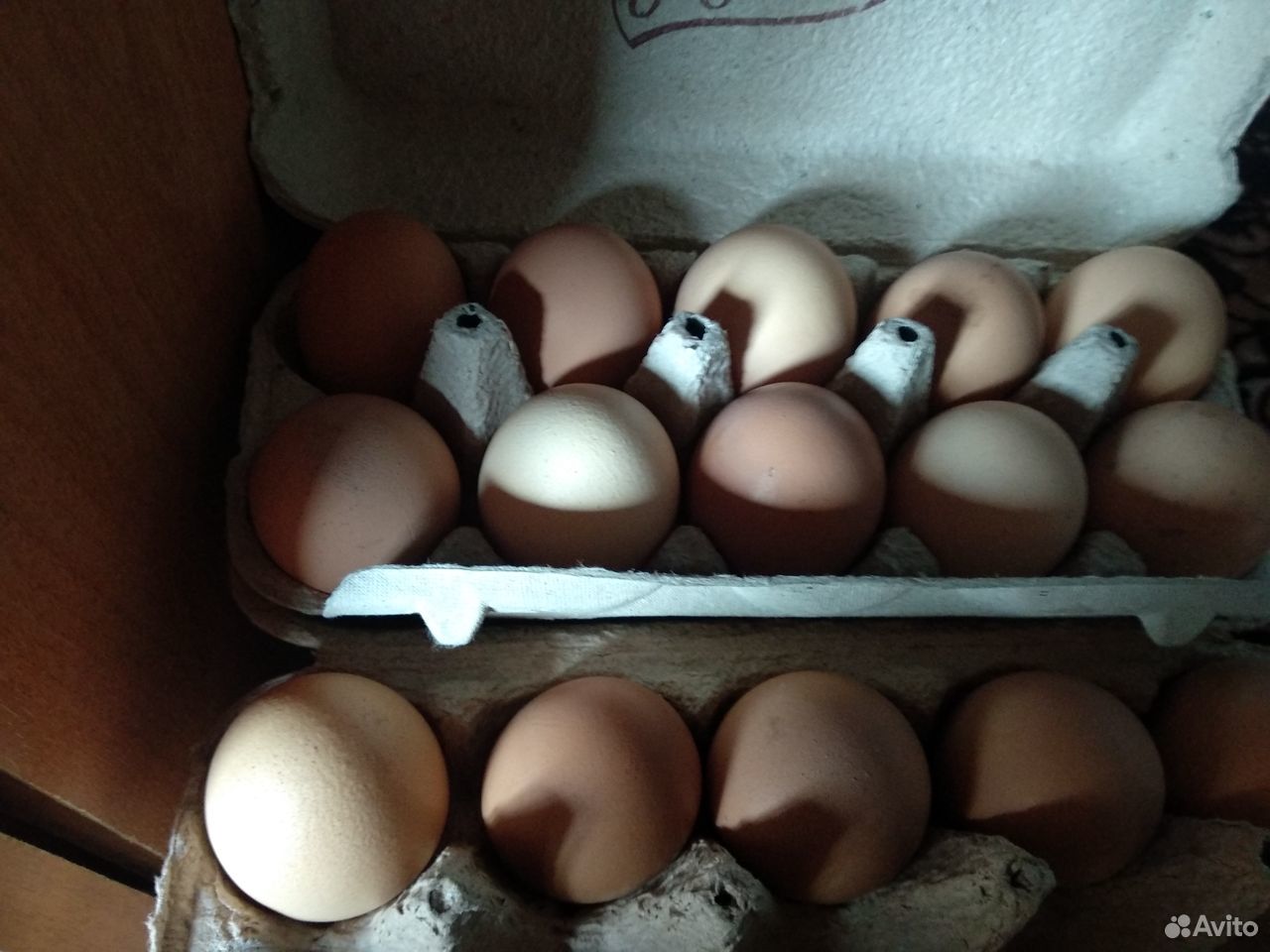 Яйцо доминанты купить. Инкубационное яйцо Адлерская серебристая. Что такое яйцо микс инкубационное. Оптовик инкубационного яйца. Яйцо инкубационное визитка.