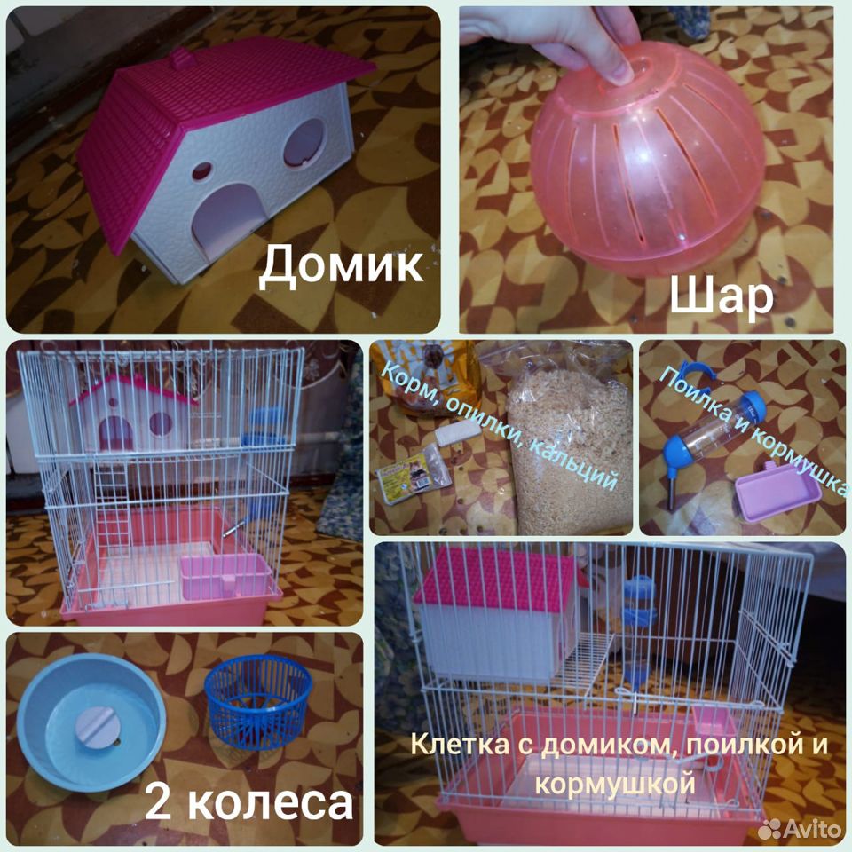 Продам клетку для хомяка со всем необходимым купить на Зозу.ру - фотография № 1