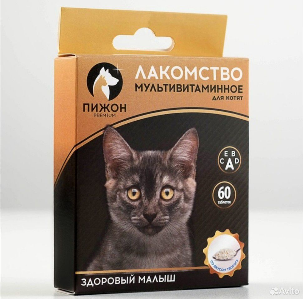 Ошейник, витамины для кошек и собак купить на Зозу.ру - фотография № 4