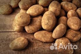 Картошка купить на Зозу.ру - фотография № 1
