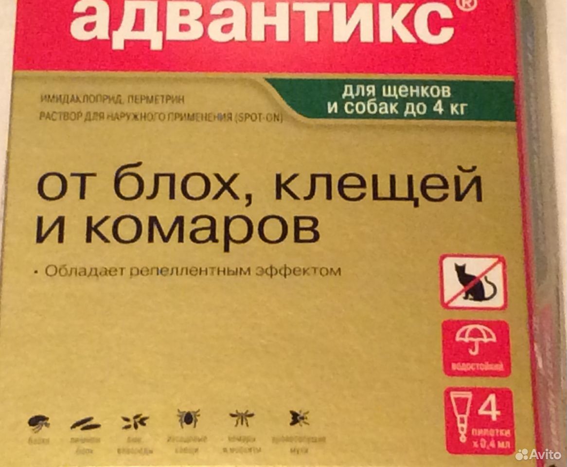 Адвантикс капли на холку для собак весом до 4 кг купить на Зозу.ру - фотография № 3