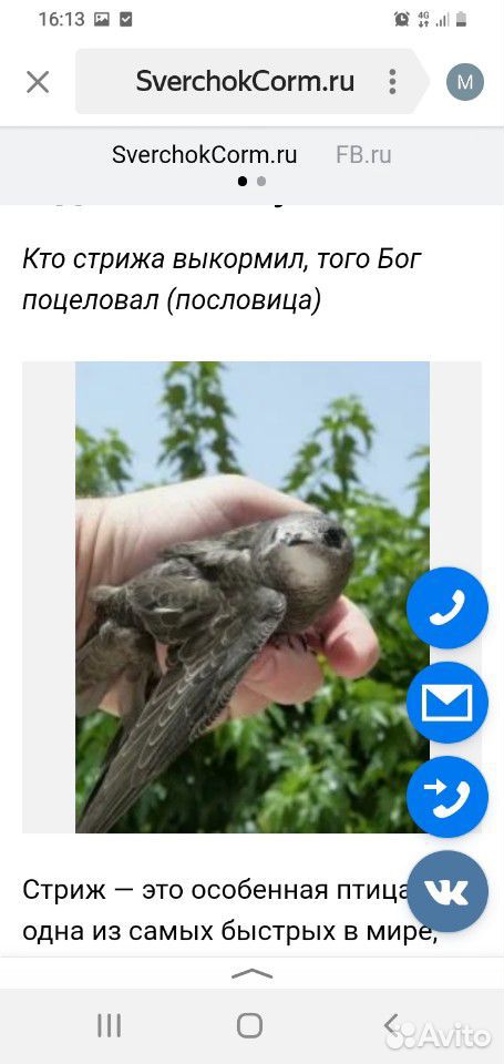 Корм для птиц и рептилий купить на Зозу.ру - фотография № 1