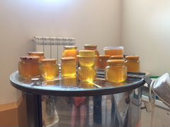 Продам здоровый мёд