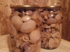 Маринованные грибы синеножка