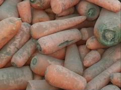 Картофель морковь