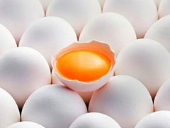 Инкубационное яйцо кур-Хайсекс, индоутят, индюшат