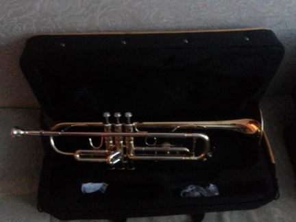 Труба Bach TR-710