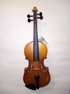 Скрипка обычная