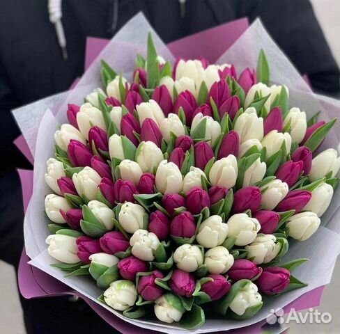 Тюльпаны, Пионы, 31,51,101,201, Тюльпан, цветы