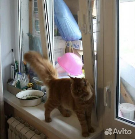 Сетка антиКошка