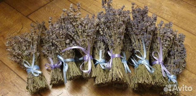 Лаванда в пучках