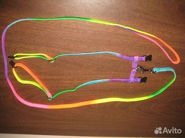 Поводок и шлейка для маленькой собаки новые