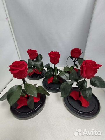 Роза в колбе оптом и в розницу