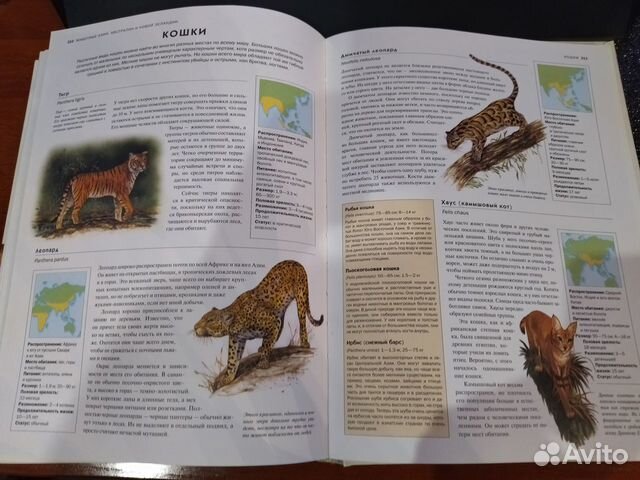 Энциклопедия для детей