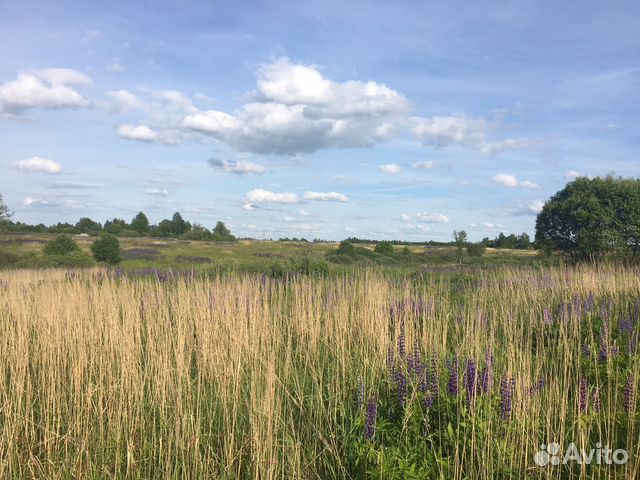 Участок 10.7 сот. (СНТ, ДНП)