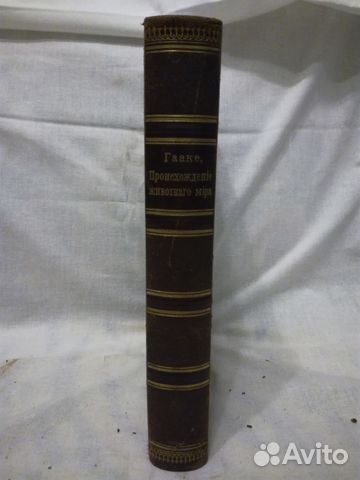 Гааке В. Происхождение животного мира