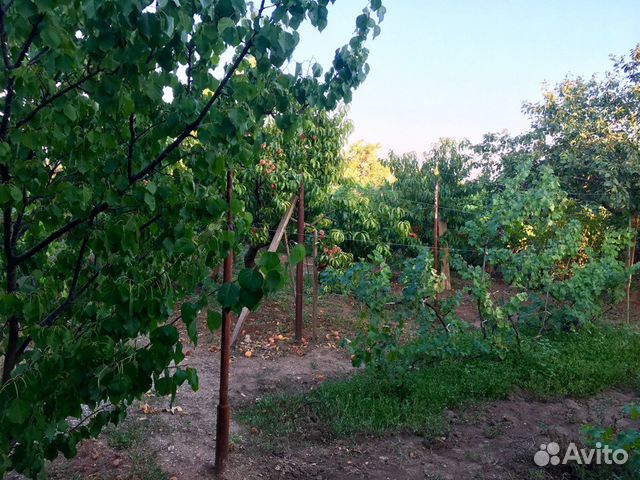Участок 5.2 сот. (СНТ, ДНП)