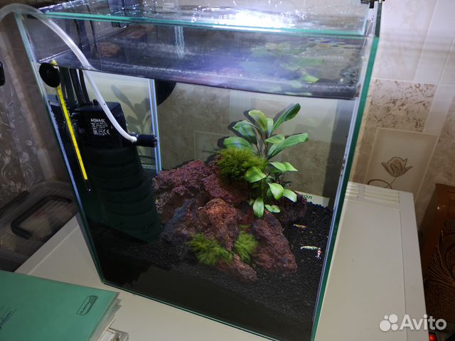 Нано аквариумы 30-50-55 литров 3 штуки купить на Зозу.ру - фотография № 4