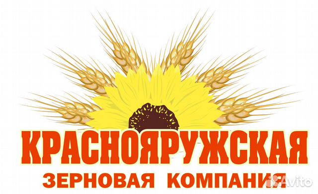 Главный агроном