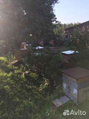 Домики с пчёлами купить на Зозу.ру - фотография № 1