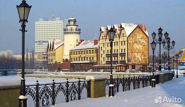 Что Посмотреть В Калининграде На Новый Год Что Посмотреть В Калининграде На Новый Год