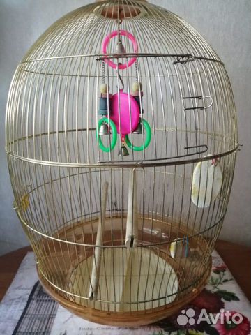 Клетка для попугая, возможен торг купить на Зозу.ру - фотография № 3