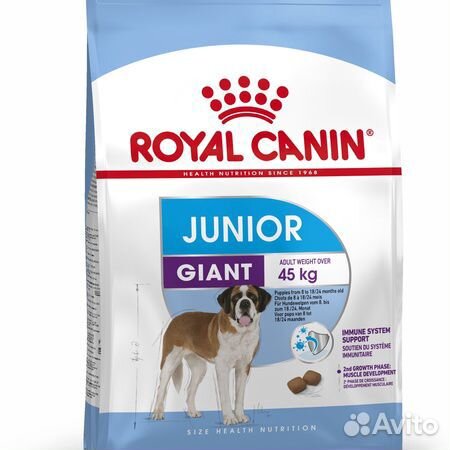 royal canin junior starter