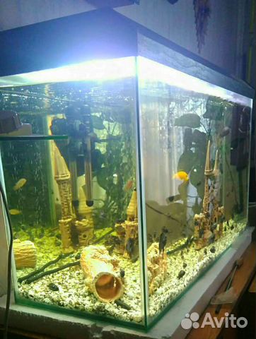 Аквариум