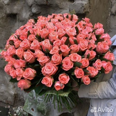 51 роза 51 роза