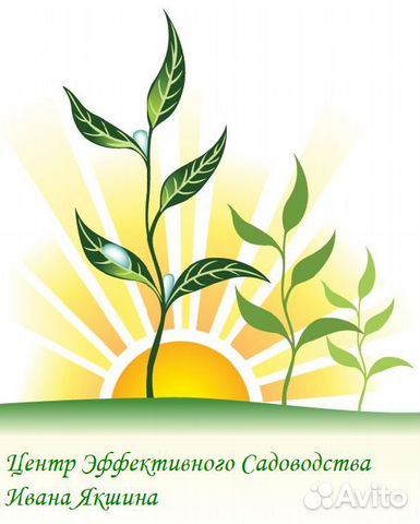 Продавец-консультант в магазин Семена Продавец-консультант в магазин Семена