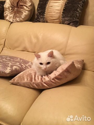 Диваны кожаные дизайнерские итальянские комплект с Диваны кожаные дизайнерские итальянские комплект с