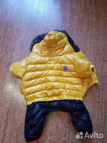 Одежда для собак Одежда для собак