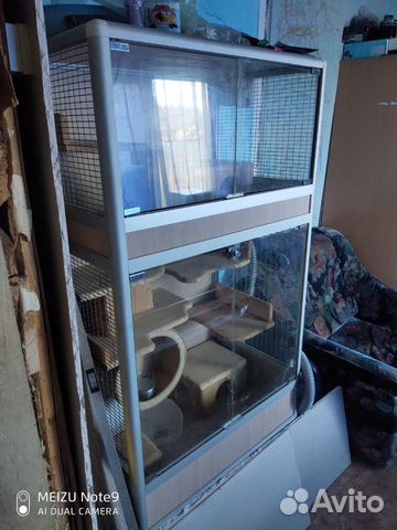 Клетка витрина для шиншиллы купить на Зозу.ру - фотография № 1